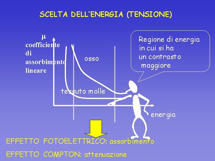 SCELTA DELL’ENERGIA (TENSIONE) coefficiente di assorbimento lineare osso Regione di energia in cui si