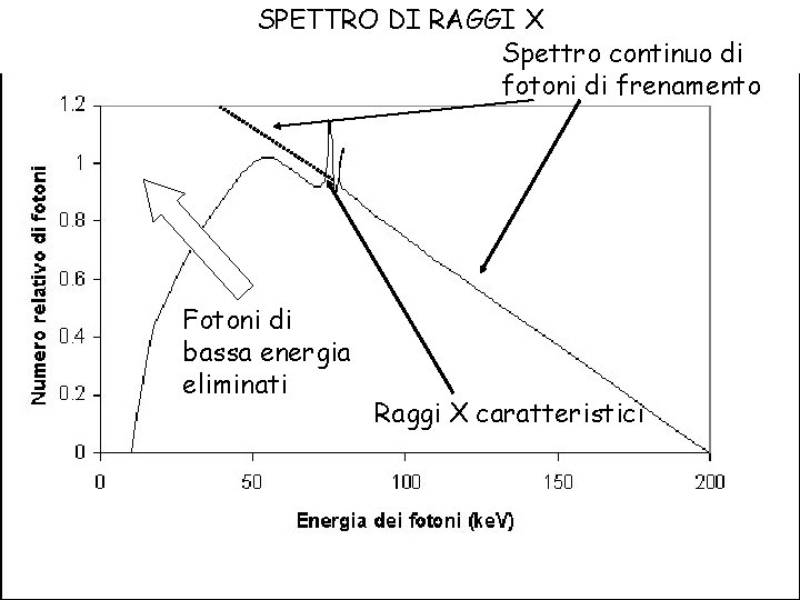 SPETTRO DI RAGGI X Spettro continuo di fotoni di frenamento Fotoni di bassa energia