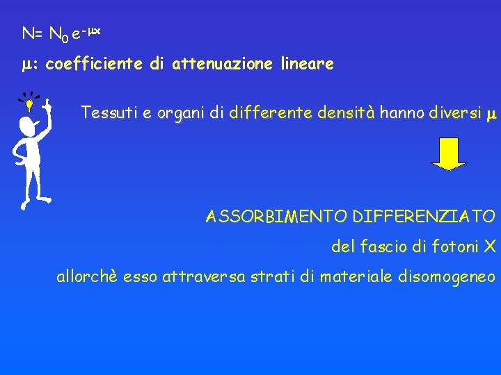 N= N 0 e- x : coefficiente di attenuazione lineare Tessuti e organi di