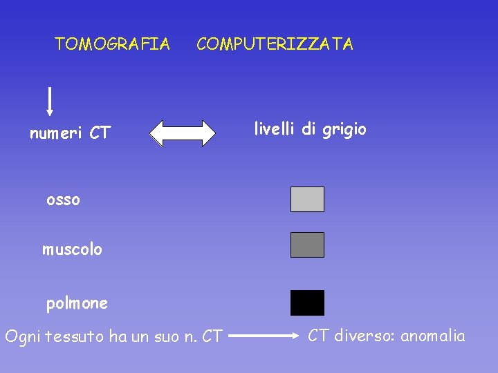 TOMOGRAFIA COMPUTERIZZATA numeri CT livelli di grigio osso muscolo polmone Ogni tessuto ha un