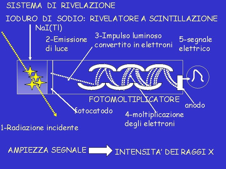 SISTEMA DI RIVELAZIONE IODURO DI SODIO: RIVELATORE A SCINTILLAZIONE Na. I(Tl) 2 -Emissione 3