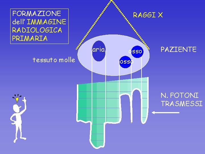 FORMAZIONE dell’ IMMAGINE RADIOLOGICA PRIMARIA RAGGI X aria tessuto molle osso PAZIENTE N. FOTONI