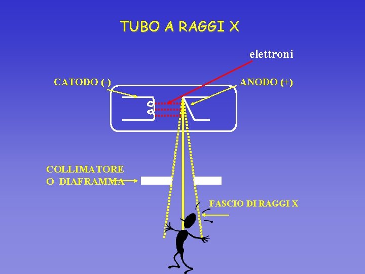 TUBO A RAGGI X elettroni CATODO (-) ANODO (+) COLLIMATORE O DIAFRAMMA FASCIO DI