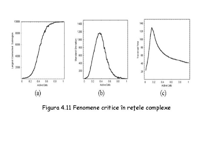 Figura 4. 11 Fenomene critice în reţele complexe 