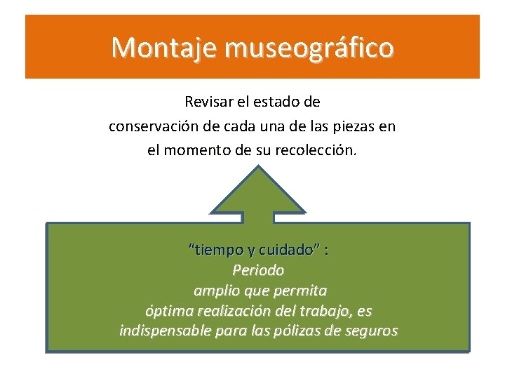 Montaje museográfico Revisar el estado de conservación de cada una de las piezas en