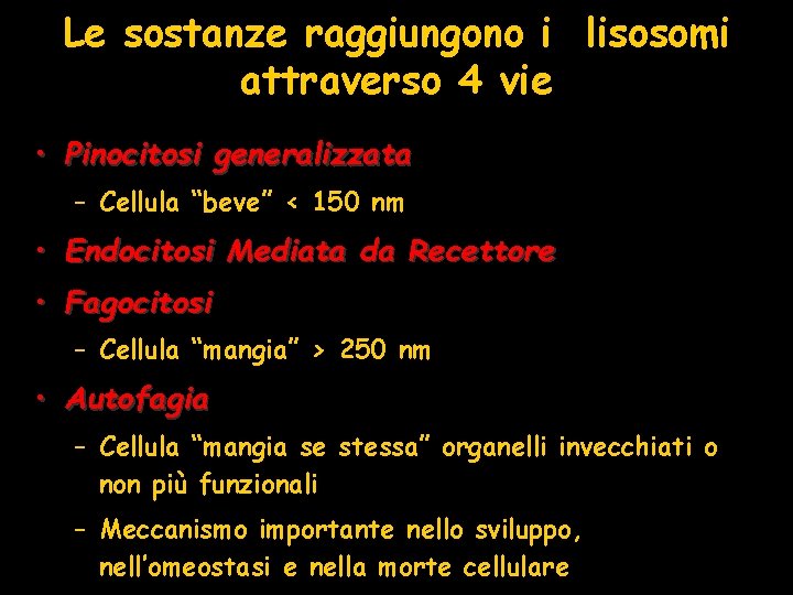 Le sostanze raggiungono i lisosomi attraverso 4 vie • Pinocitosi generalizzata – Cellula “beve”