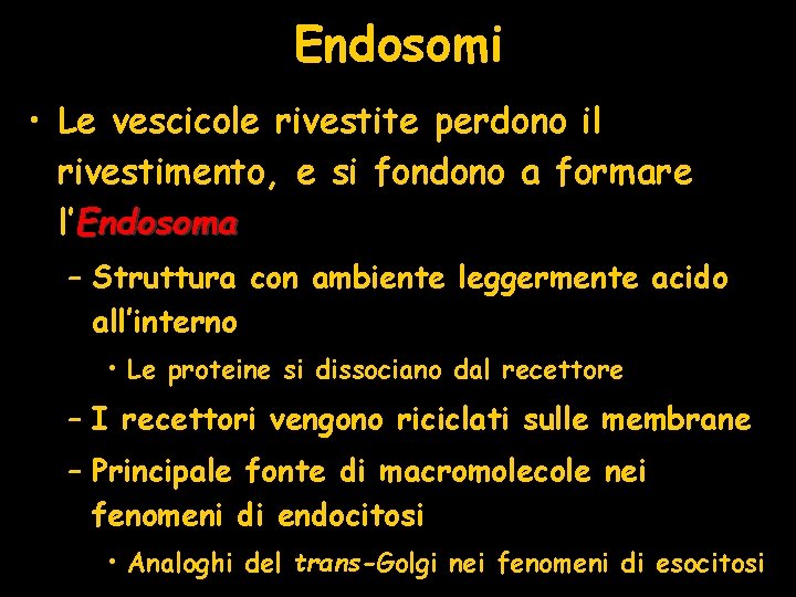 Endosomi • Le vescicole rivestite perdono il rivestimento, e si fondono a formare l’Endosoma