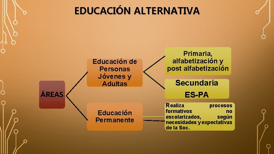 EDUCACIÓN ALTERNATIVA Educación de Personas Jóvenes y Adultas Primaria, alfabetización y post alfabetización Secundaria