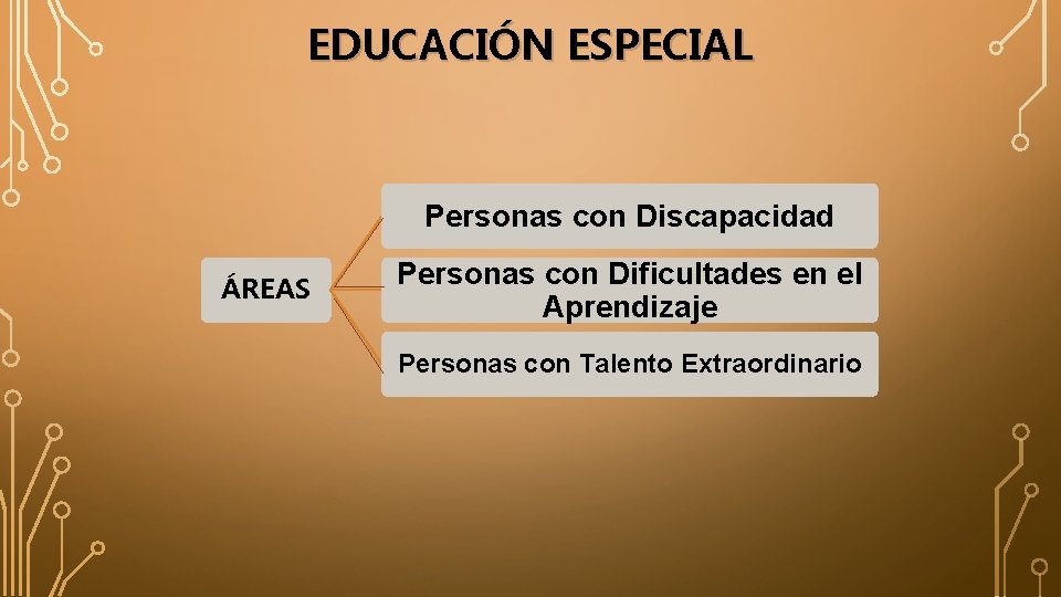 EDUCACIÓN ESPECIAL Personas con Discapacidad ÁREAS Personas con Dificultades en el Aprendizaje Personas con