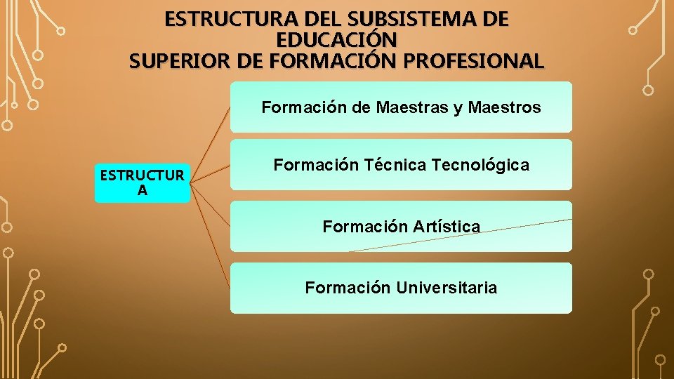 ESTRUCTURA DEL SUBSISTEMA DE EDUCACIÓN SUPERIOR DE FORMACIÓN PROFESIONAL Formación de Maestras y Maestros