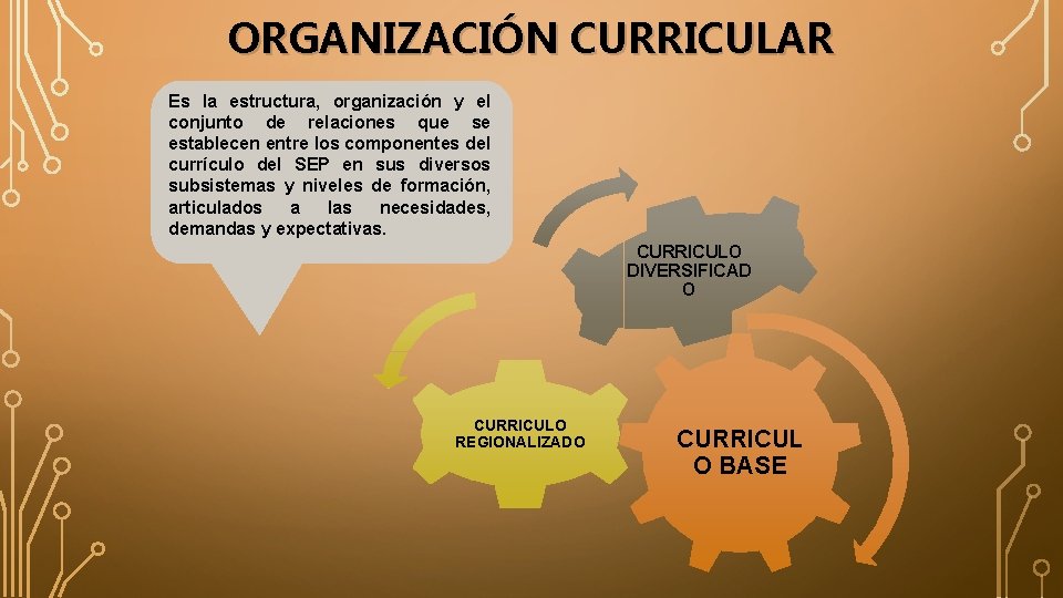 ORGANIZACIÓN CURRICULAR Es la estructura, organización y el conjunto de relaciones que se establecen