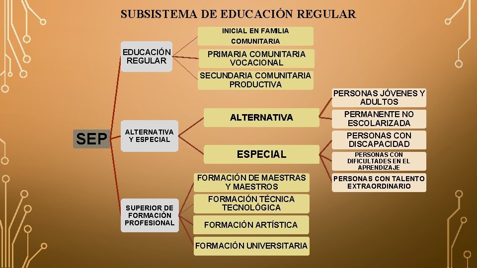 SUBSISTEMA DE EDUCACIÓN REGULAR INICIAL EN FAMILIA COMUNITARIA EDUCACIÓN REGULAR PRIMARIA COMUNITARIA VOCACIONAL SECUNDARIA