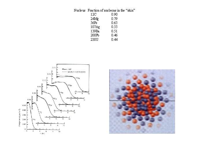 Nucleus Fraction of nucleons in the “skin” 12 C 0. 90 24 Mg 0.