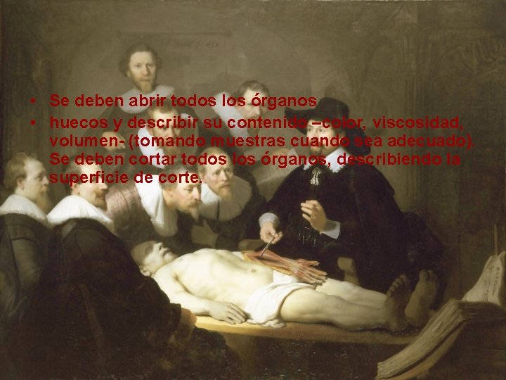  • Se deben abrir todos los órganos • huecos y describir su contenido