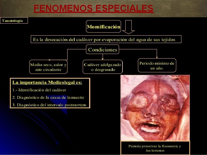 FENOMENOS ESPECIALES 