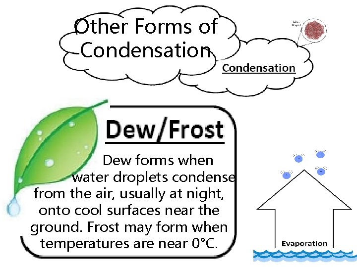 Other Forms of Condensation Dew forms when water droplets condense from the air, usually