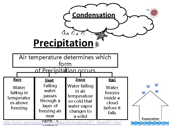 Condensation Precipitation Air temperature determines which form of Precipitation occurs Rain Snow Hail Sleet