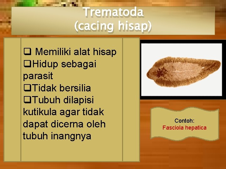 Trematoda (cacing hisap) q Memiliki alat hisap q. Hidup sebagai parasit q. Tidak bersilia Trematoda (cacing hisap) q Memiliki alat hisap q. Hidup sebagai parasit q. Tidak bersilia