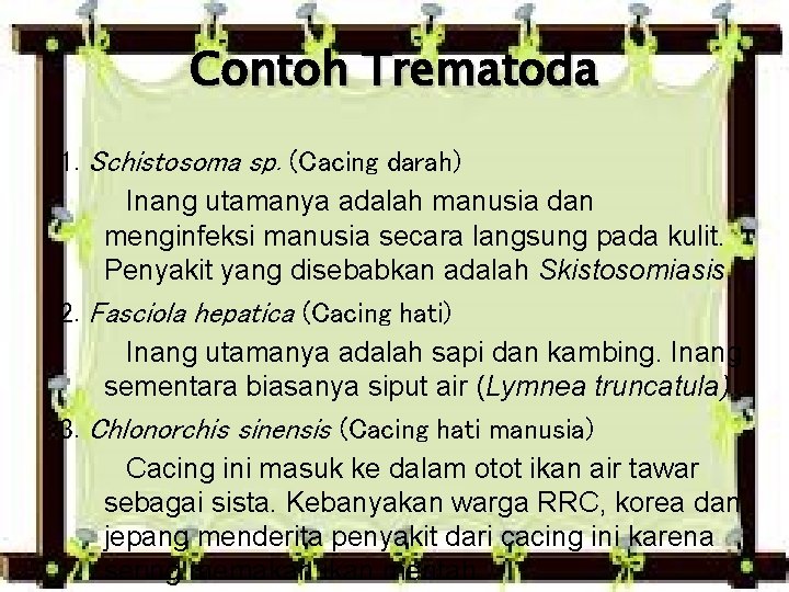 Contoh Trematoda 1. Schistosoma sp. (Cacing darah) Inang utamanya adalah manusia dan menginfeksi manusia Contoh Trematoda 1. Schistosoma sp. (Cacing darah) Inang utamanya adalah manusia dan menginfeksi manusia