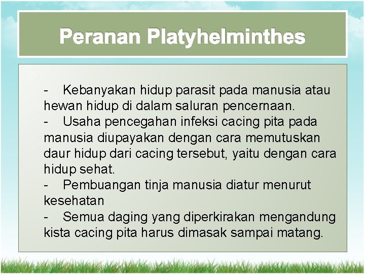 Peranan Platyhelminthes � - Kebanyakan hidup parasit pada manusia atau hewan hidup di dalam Peranan Platyhelminthes � - Kebanyakan hidup parasit pada manusia atau hewan hidup di dalam