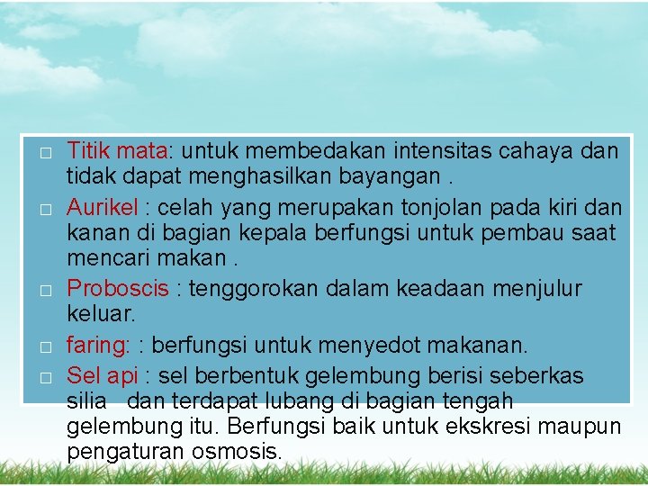 � � � Titik mata: untuk membedakan intensitas cahaya dan tidak dapat menghasilkan bayangan. � � � Titik mata: untuk membedakan intensitas cahaya dan tidak dapat menghasilkan bayangan.
