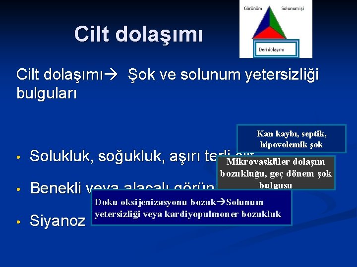 Cilt dolaşımı Şok ve solunum yetersizliği bulguları Kan kaybı, septik, hipovolemik şok • Solukluk,