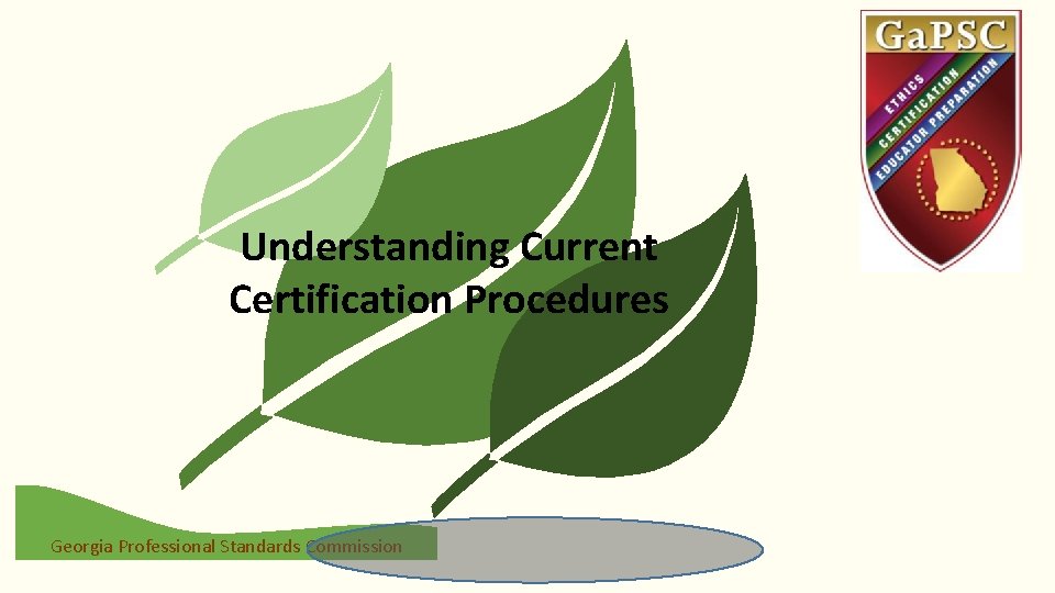 Understanding Current Certification Procedures Georgia Professional Standards Commission 