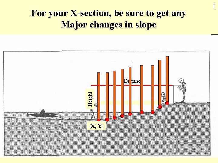 For your X-section, be sure to get any Major changes in slope Height Distance