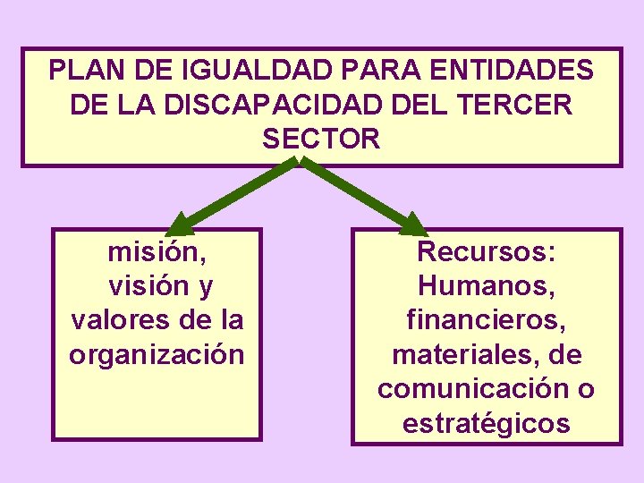 PLAN DE IGUALDAD PARA ENTIDADES DE LA DISCAPACIDAD DEL TERCER SECTOR misión, visión y