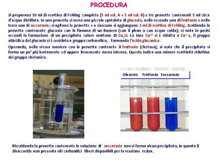 PROCEDURA Si preparano 10 ml di reattivo di Fehling completo (5 ml sol. A