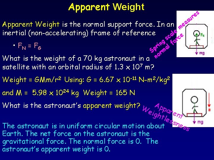 Apparent Weight s e ur Apparent Weight is the normal support force. In an