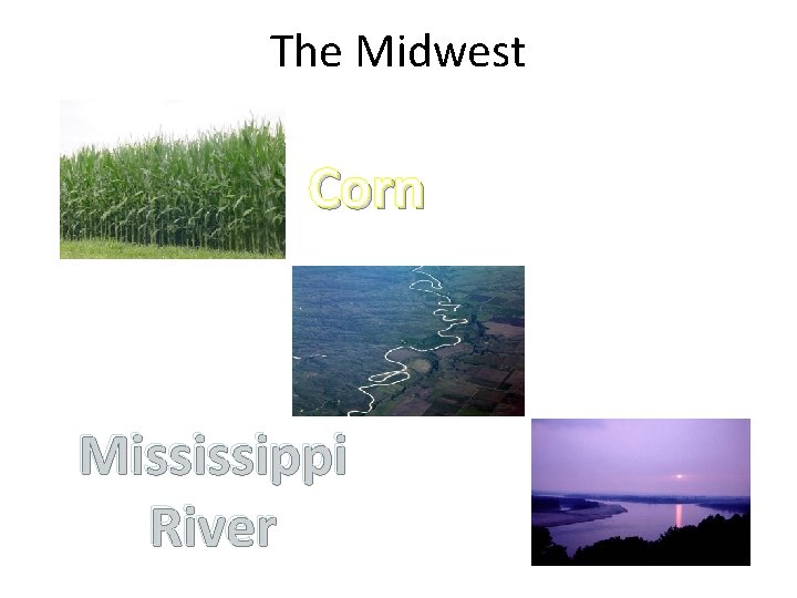 The Midwest Corn Mississippi River 