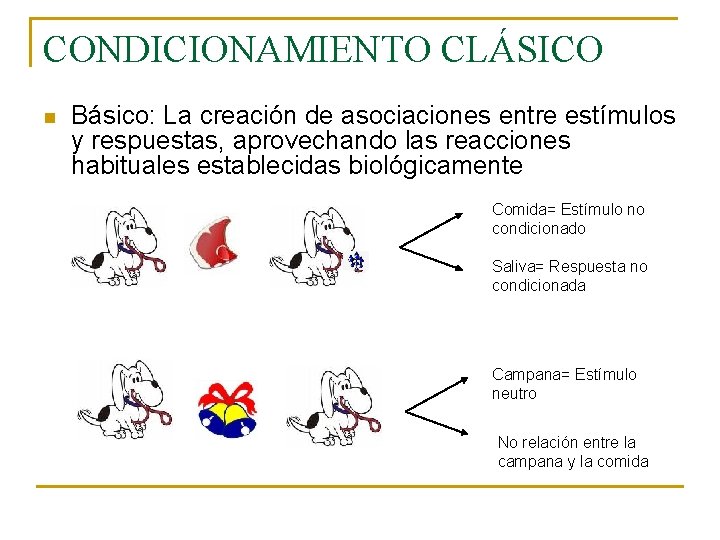 CONDICIONAMIENTO CLÁSICO n Básico: La creación de asociaciones entre estímulos y respuestas, aprovechando las