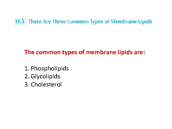 The common types of membrane lipids are: 1. Phospholipids 2. Glycolipids 3. Cholesterol 