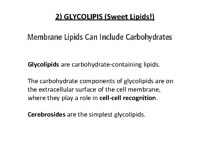 2) GLYCOLIPIS (Sweet Lipids!) Glycolipids are carbohydrate-containing lipids. The carbohydrate components of glycolipids are