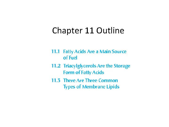 Chapter 11 Outline 