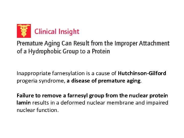 Inappropriate farnesylation is a cause of Hutchinson-Gilford progeria syndrome, a disease of premature aging.