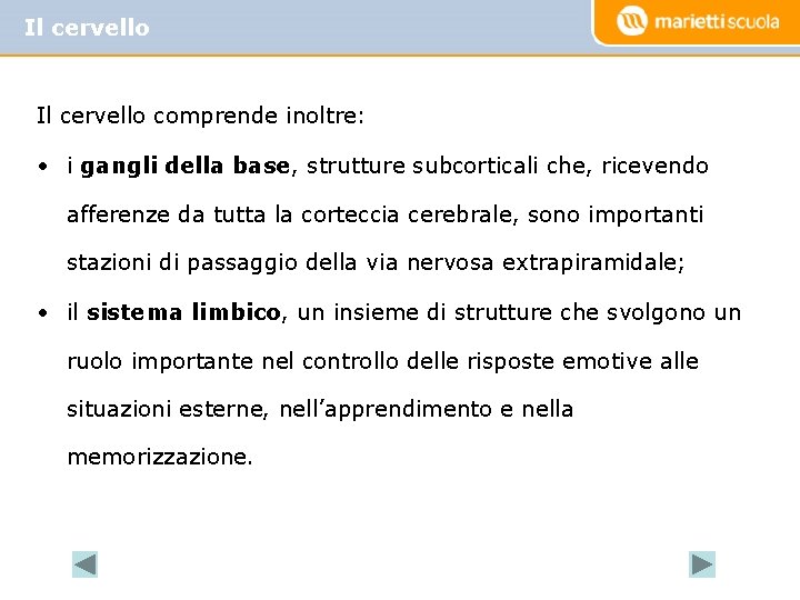 Il cervello comprende inoltre: • i gangli della base, strutture subcorticali che, ricevendo afferenze