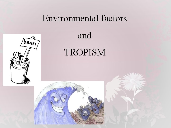 Environmental factors and TROPISM 