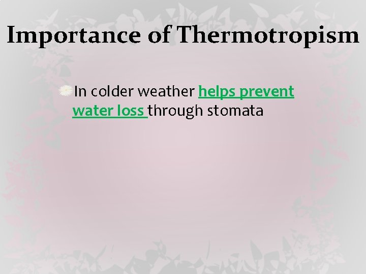 Importance of Thermotropism In colder weather helps prevent water loss through stomata 