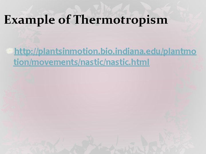 Example of Thermotropism http: //plantsinmotion. bio. indiana. edu/plantmo tion/movements/nastic. html 
