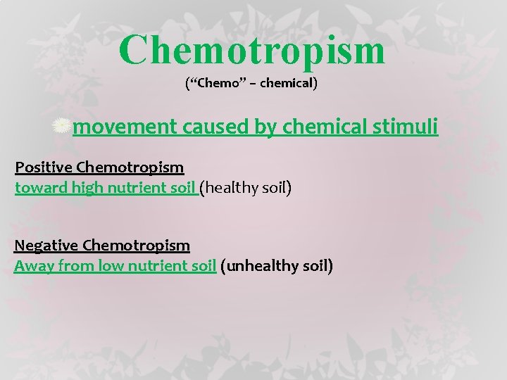 Chemotropism (“Chemo” – chemical) movement caused by chemical stimuli Positive Chemotropism toward high nutrient