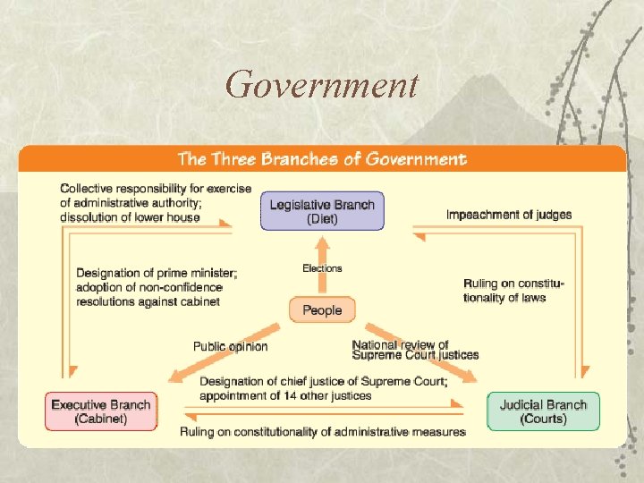 Government 