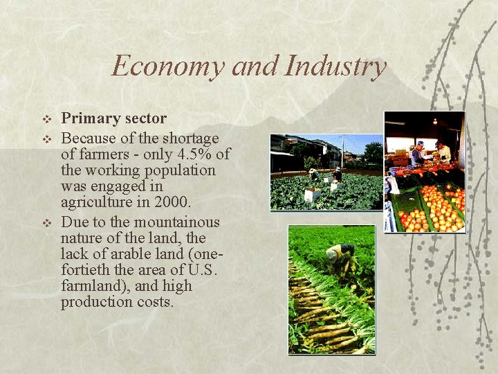 Economy and Industry v v v Primary sector Because of the shortage of farmers