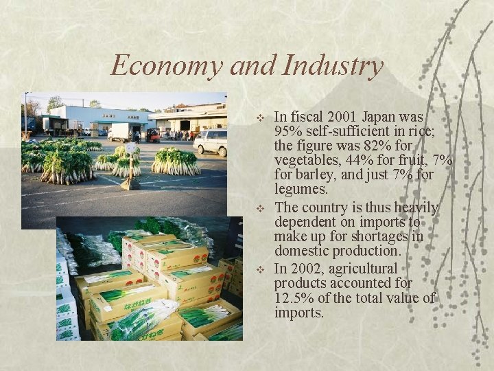 Economy and Industry v v v In fiscal 2001 Japan was 95% self-sufficient in