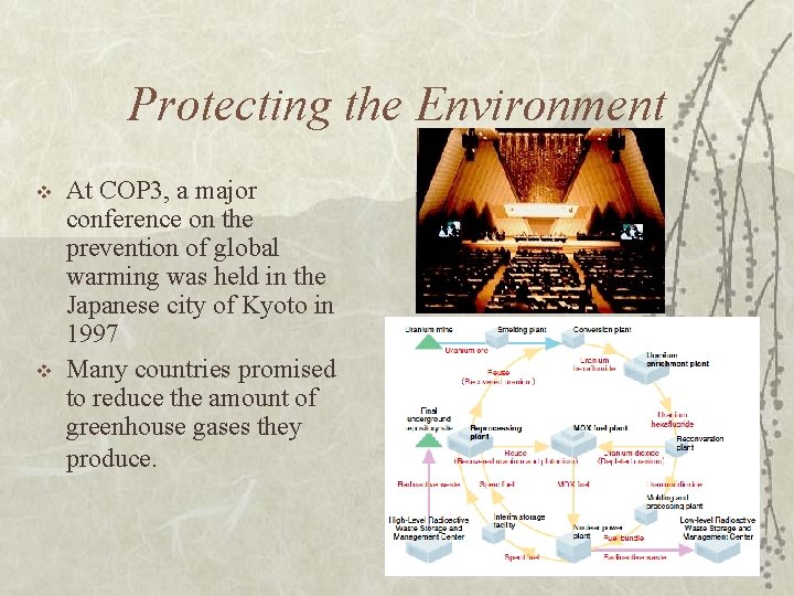 Protecting the Environment v v At COP 3, a major conference on the prevention