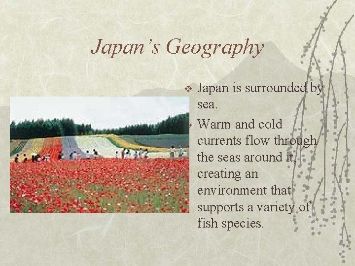 Japan’s Geography v v Japan is surrounded by sea. Warm and cold currents flow