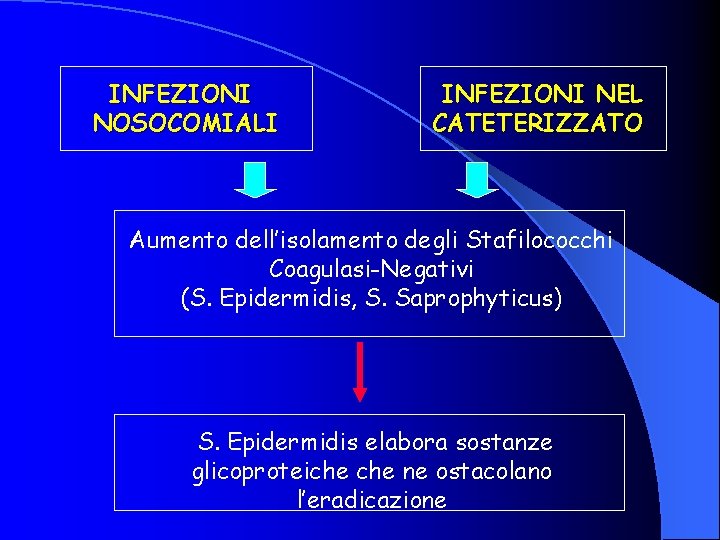 INFEZIONI NOSOCOMIALI INFEZIONI NEL CATETERIZZATO Aumento dell’isolamento degli Stafilococchi Coagulasi-Negativi (S. Epidermidis, S. Saprophyticus)