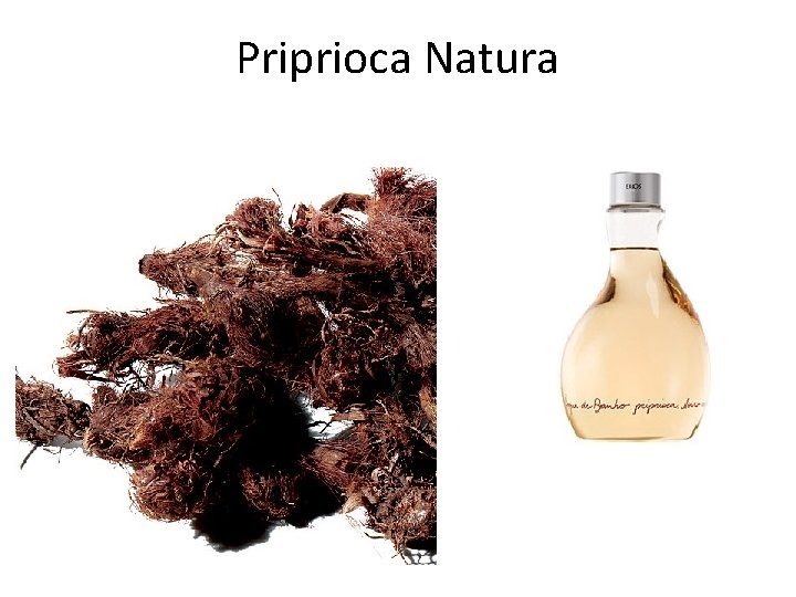 Rad 2212 Meio Ambiente E Sustentabilidade Introduo Prof