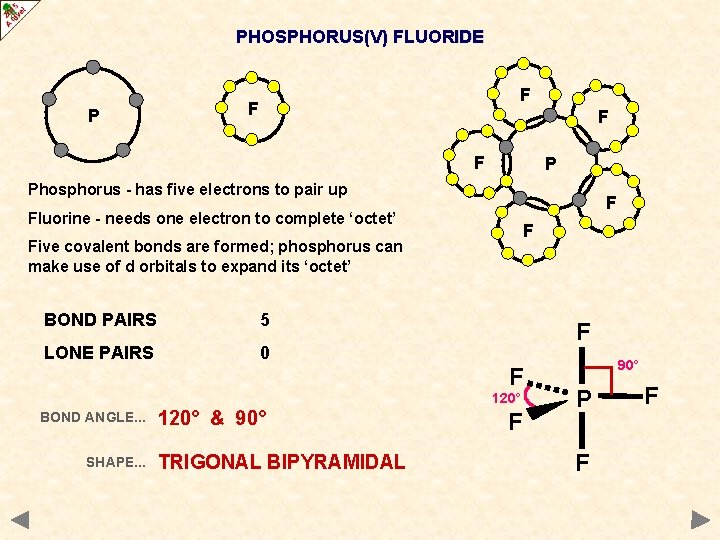 PHOSPHORUS(V) FLUORIDE P F F P Phosphorus - has five electrons to pair up